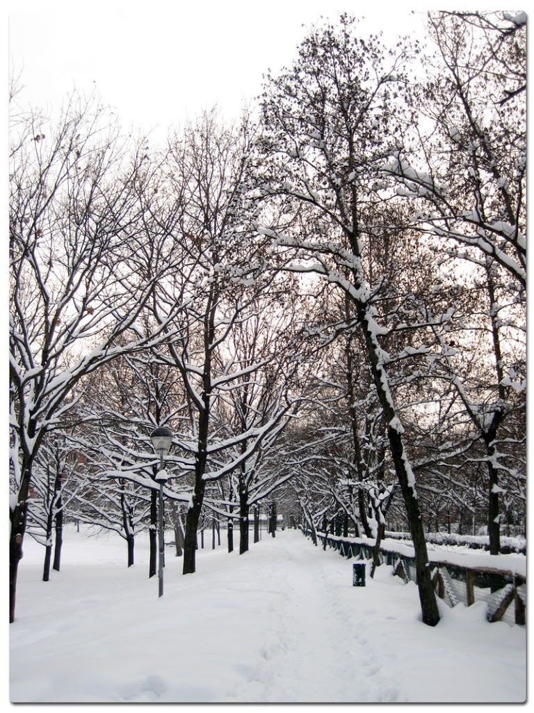 Cartolina / Bologna, ancora sotto la neve