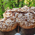Colomba con licoli